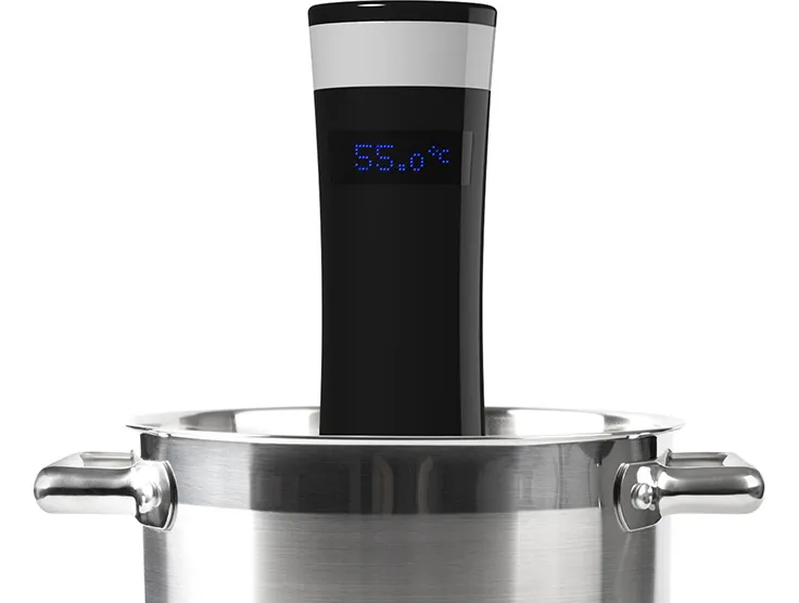 Sansaire sous vide